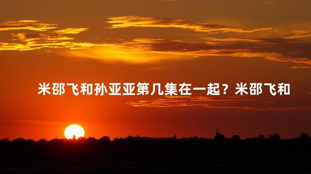 米邵飞和孙亚亚第几集在一起？米邵飞和孙亚亚爱情故事揭晓