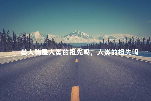 类人猿是人类的祖先吗，人类的祖先吗