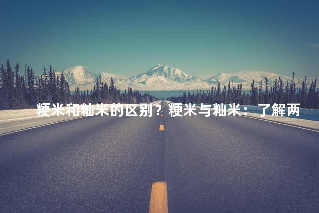 粳米和籼米的区别？粳米与籼米：了解两者的差异