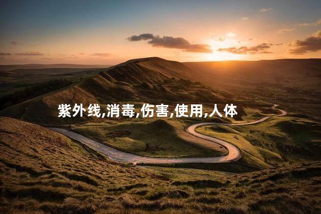 紫外线消毒灯对人体的伤害？紫外线消毒灯对人体有害吗？