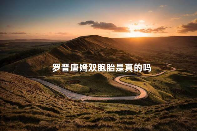 罗晋唐嫣双胞胎是真的吗