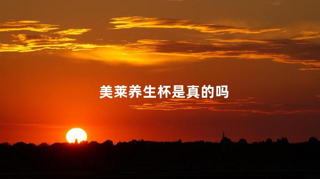 美莱养生杯是真的吗