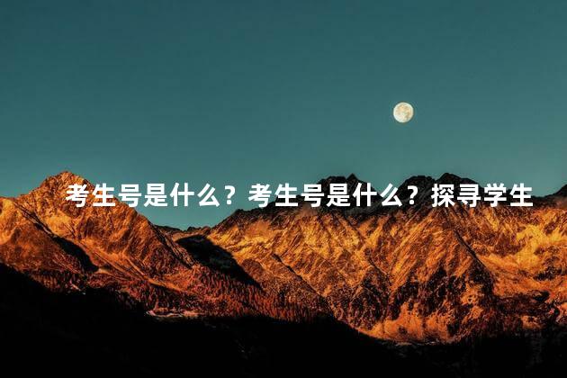 考生号是什么？考生号是什么？探寻学生身份的关键信息！