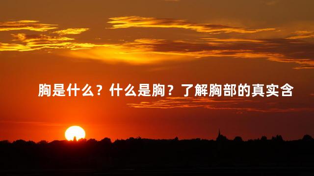 胸是什么？什么是胸？了解胸部的真实含义