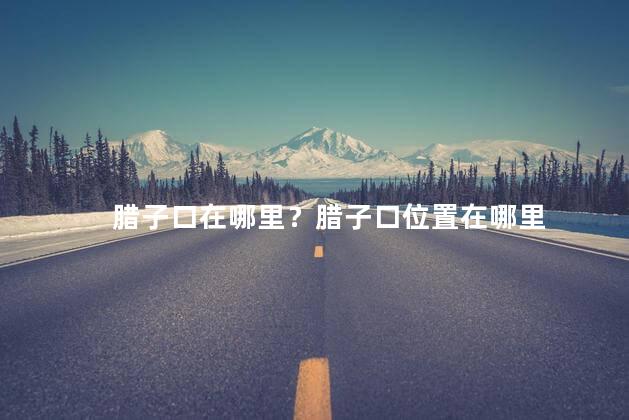 腊子口在哪里？腊子口位置在哪里