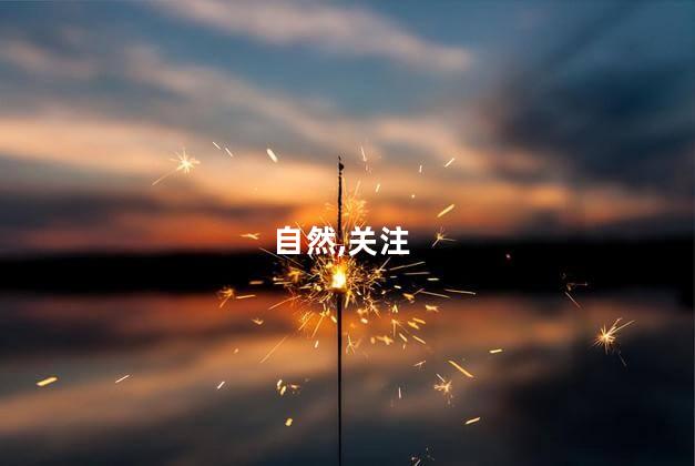 薪尽自然凉是什么意思？薪尽自然凉的含义——解析+简介