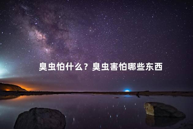 臭虫怕什么？臭虫害怕哪些东西