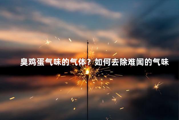 臭鸡蛋气味的气体？如何去除难闻的气味呢？