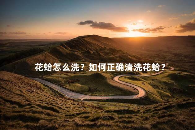 花蛤怎么洗？如何正确清洗花蛤？