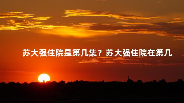苏大强住院是第几集？苏大强住院在第几集？