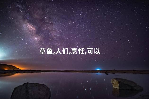 煎草鱼块的做法？超级美味：简单煎草鱼块的制作方法！