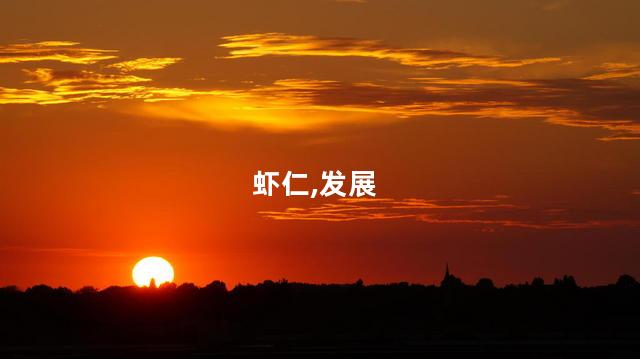 红虾仁和青虾仁的区别？红虾仁与青虾仁，哪个更好？