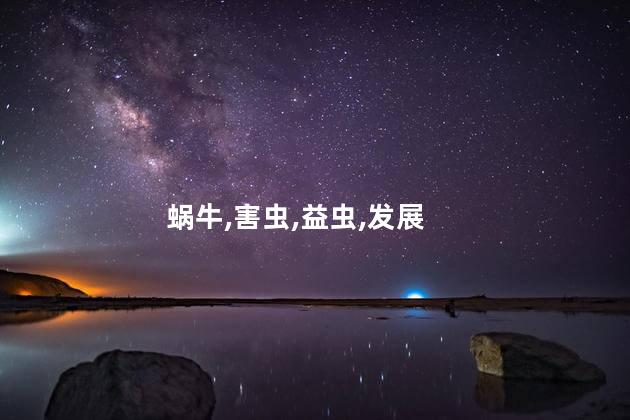 蜗牛是益虫还是害虫？蜗牛：好朋友还是顽固害虫？
