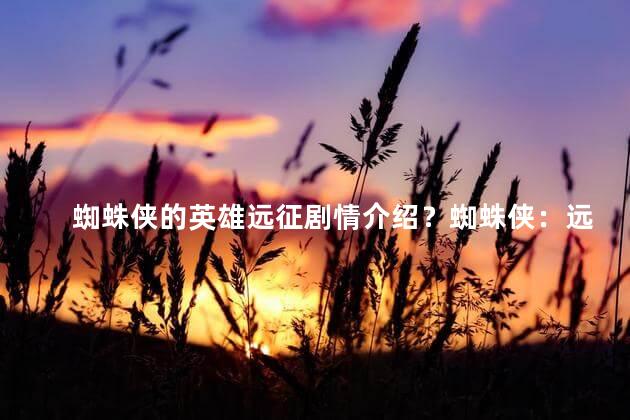 蜘蛛侠的英雄远征剧情介绍？蜘蛛侠：远征勇破敌阵！