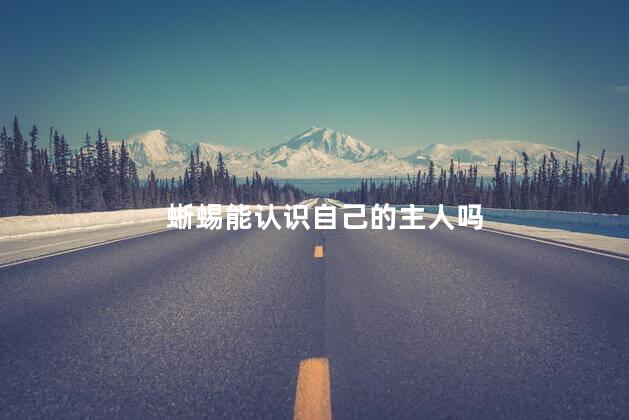 蜥蜴能认识自己的主人吗，蜥蜴认得主人吗
