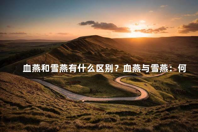 血燕和雪燕有什么区别？血燕与雪燕：何不同？