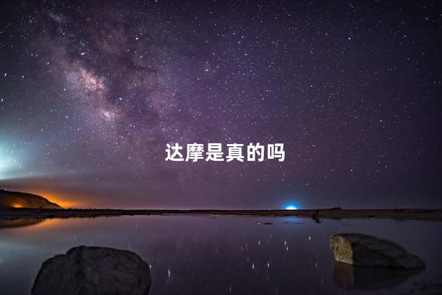 达摩是真的吗