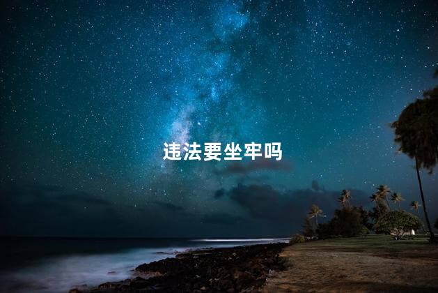 违法要坐牢吗