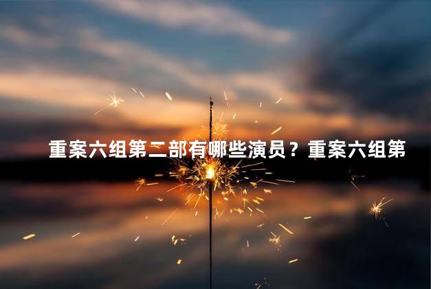 重案六组第二部有哪些演员？重案六组第二部的演员阵容大揭秘