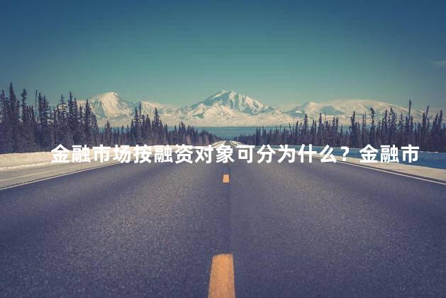 金融市场按融资对象可分为什么？金融市场分类：融资对象简介