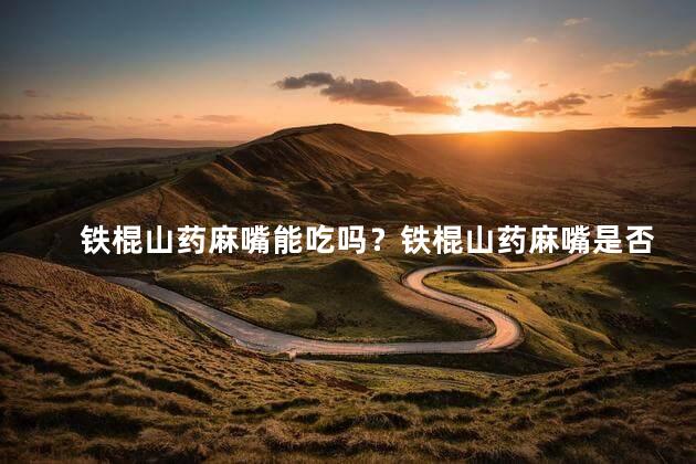 铁棍山药麻嘴能吃吗？铁棍山药麻嘴是否可食？
