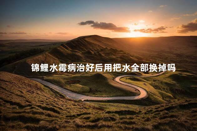 锦鲤水霉病治好后用把水全部换掉吗，鱼塘水霉病能治好吗