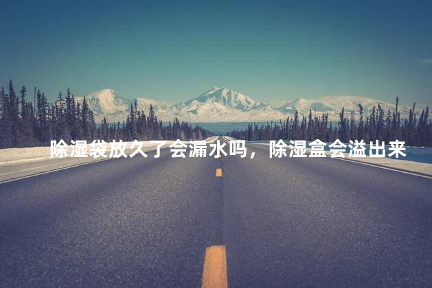 除湿袋放久了会漏水吗，除湿盒会溢出来吗