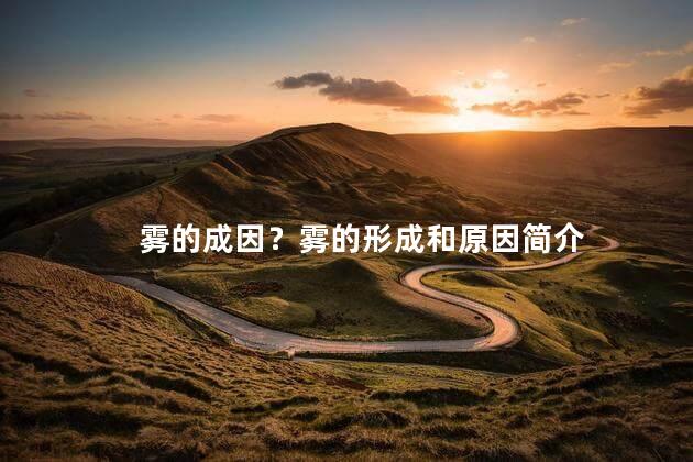 雾的成因？雾的形成和原因简介