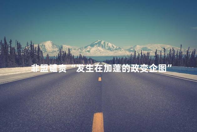 非盟谴责“发生在加蓬的政变企图” 护加蓬的政治稳定