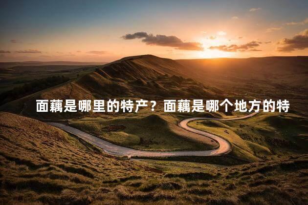 面藕是哪里的特产？面藕是哪个地方的特产？