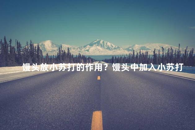 馒头放小苏打的作用？馒头中加入小苏打的妙用