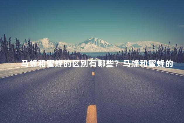 马蜂和蜜蜂的区别有哪些？马蜂和蜜蜂的区别