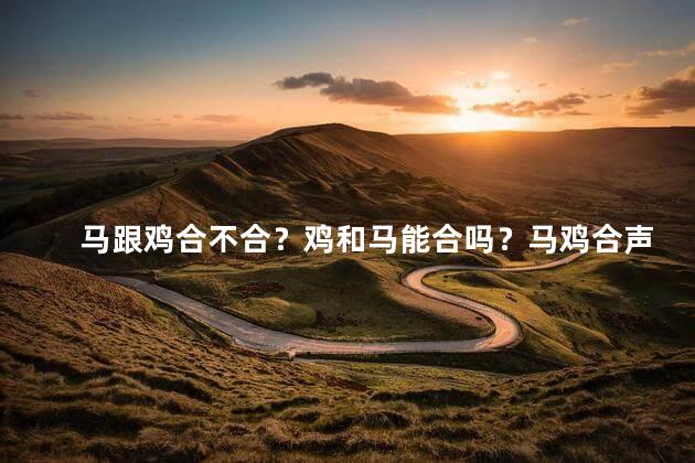 马跟鸡合不合？鸡和马能合吗？马鸡合声问