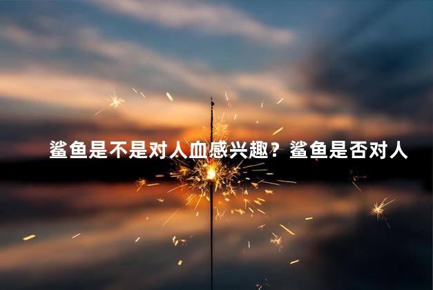 鲨鱼是不是对人血感兴趣？鲨鱼是否对人类血液有兴趣？