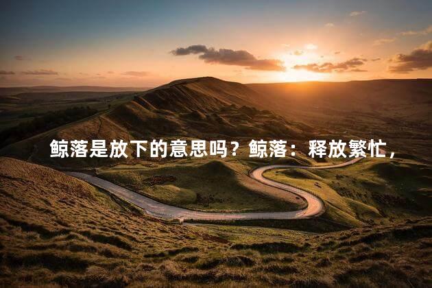 鲸落是放下的意思吗？鲸落：释放繁忙，轻解负担