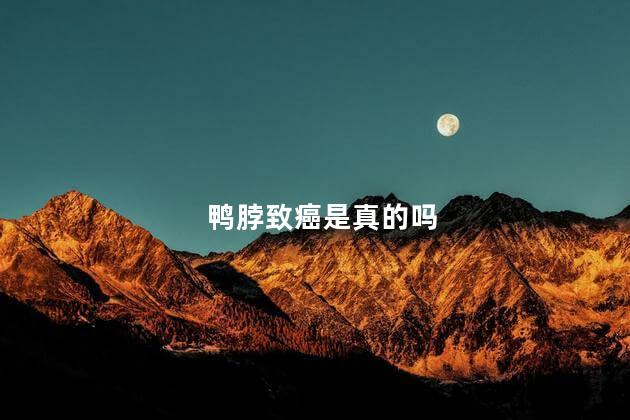 鸭脖致癌是真的吗，鸭脖对人体有害吗
