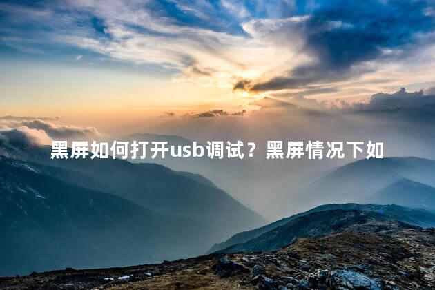 黑屏如何打开usb调试？黑屏情况下如何开启USB调试