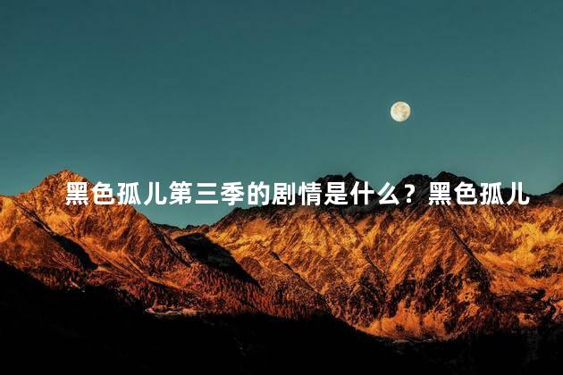 黑色孤儿第三季的剧情是什么？黑色孤儿第三季：恢弘故事继续