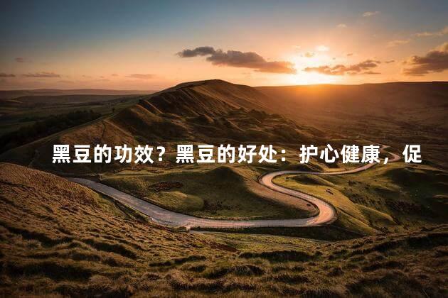 黑豆的功效？黑豆的好处：护心健康，促进消化，增强免疫力