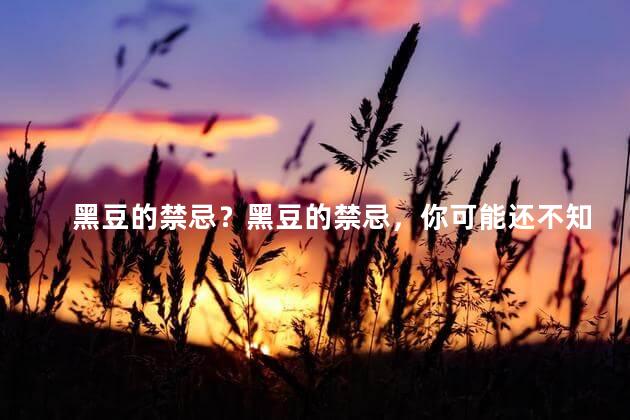 黑豆的禁忌？黑豆的禁忌，你可能还不知道的重大误区