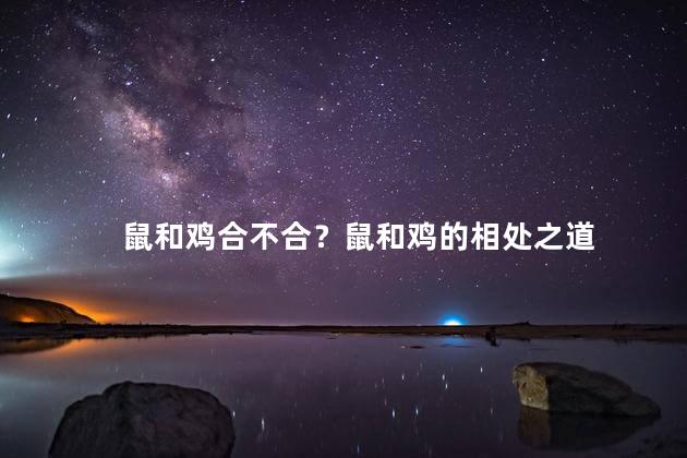 鼠和鸡合不合？鼠和鸡的相处之道