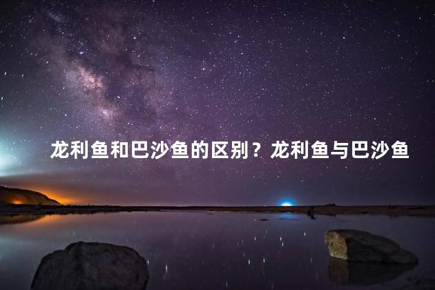 龙利鱼和巴沙鱼的区别？龙利鱼与巴沙鱼：异同解析