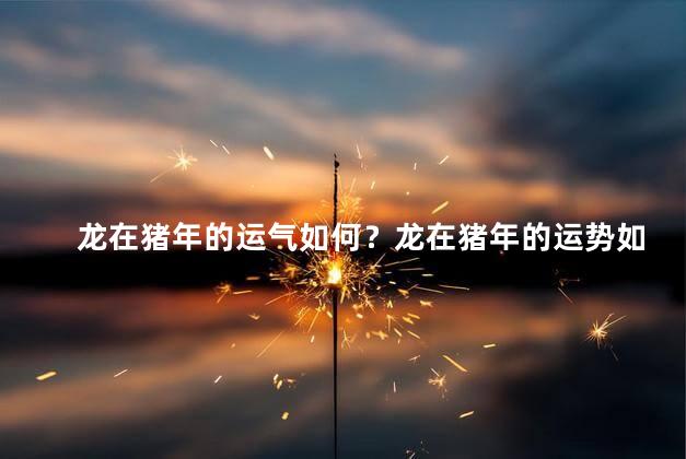 龙在猪年的运气如何？龙在猪年的运势如何